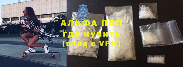 прущие грибы Балабаново