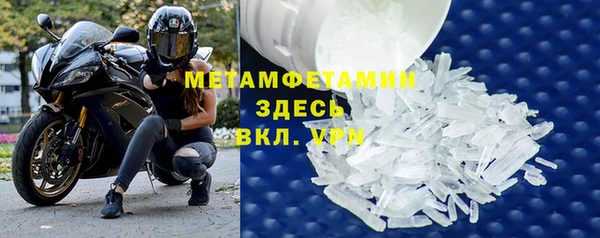 прущие грибы Балабаново