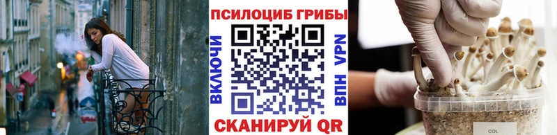 MEGA маркетплейс  Углегорск  Галлюциногенные грибы мицелий 