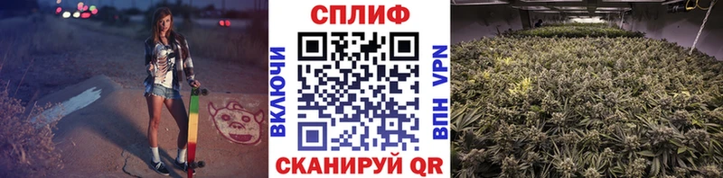 купить Углегорск МАРИХУАНА сатива